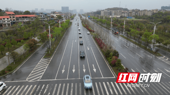 全国多个自驾车队齐聚祁阳 共享油茶博览盛宴