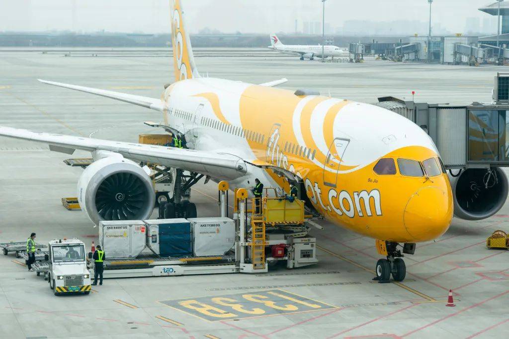 今天起头,陆续恢复! 今天起头,陆续恢复!