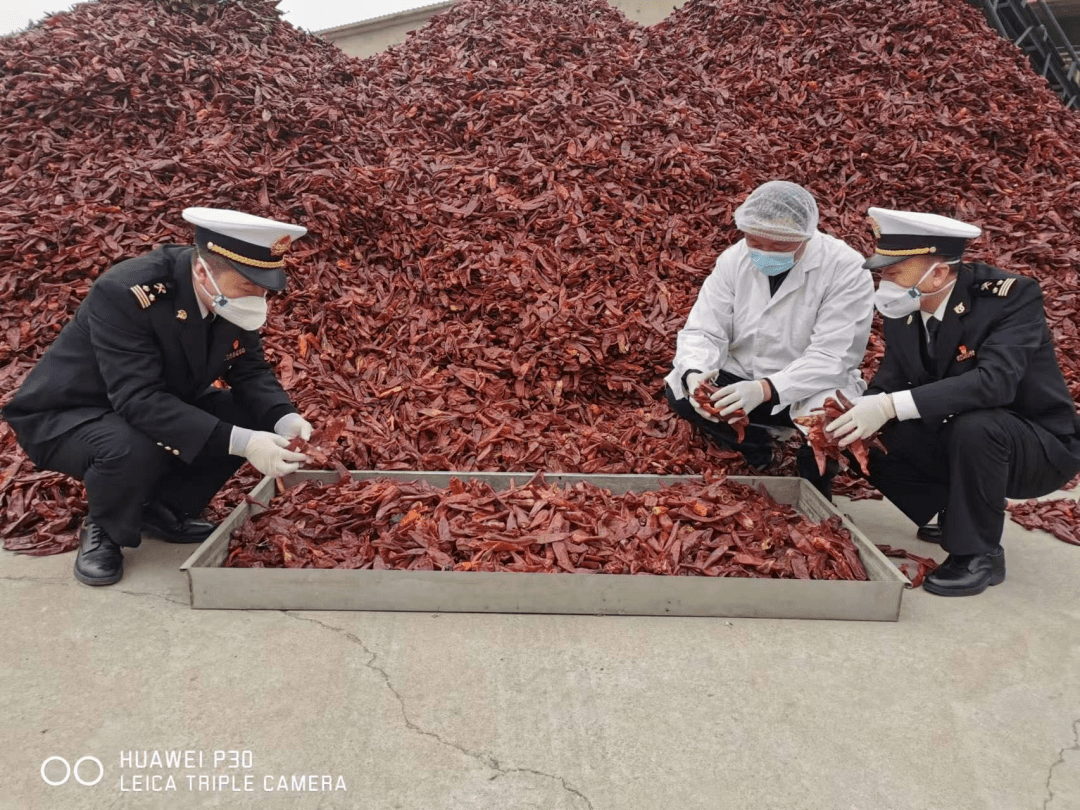 补助进步、大奖揭晓！天津一多量项目、活动都定了！