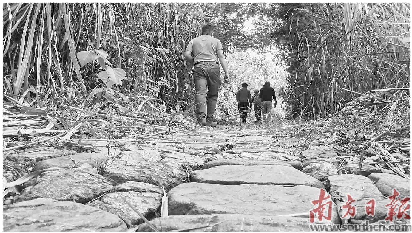 “海丝古道”重启用 打造新兴徒步路线_爱好者_前往_要道