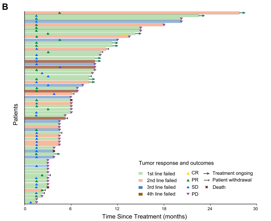 ���й�����������������ڡ���ǿ�����Ŷ����ֳɹ����� ...
