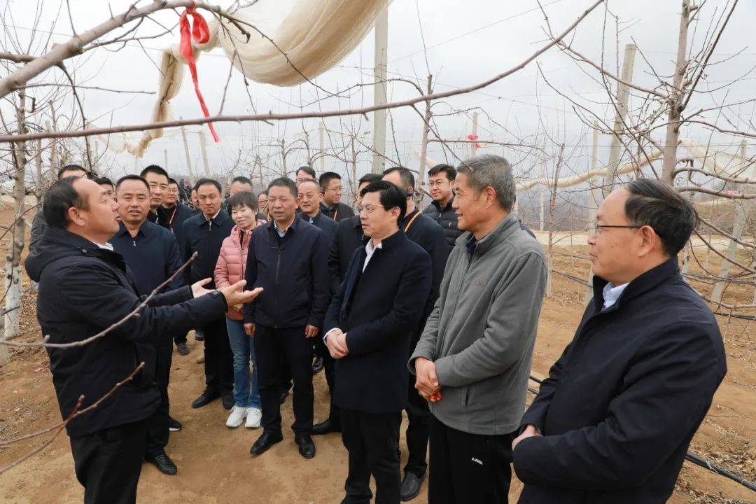 成县党政考察团赴陕西省考察学习乡村振兴等工作_建设_发展_相关