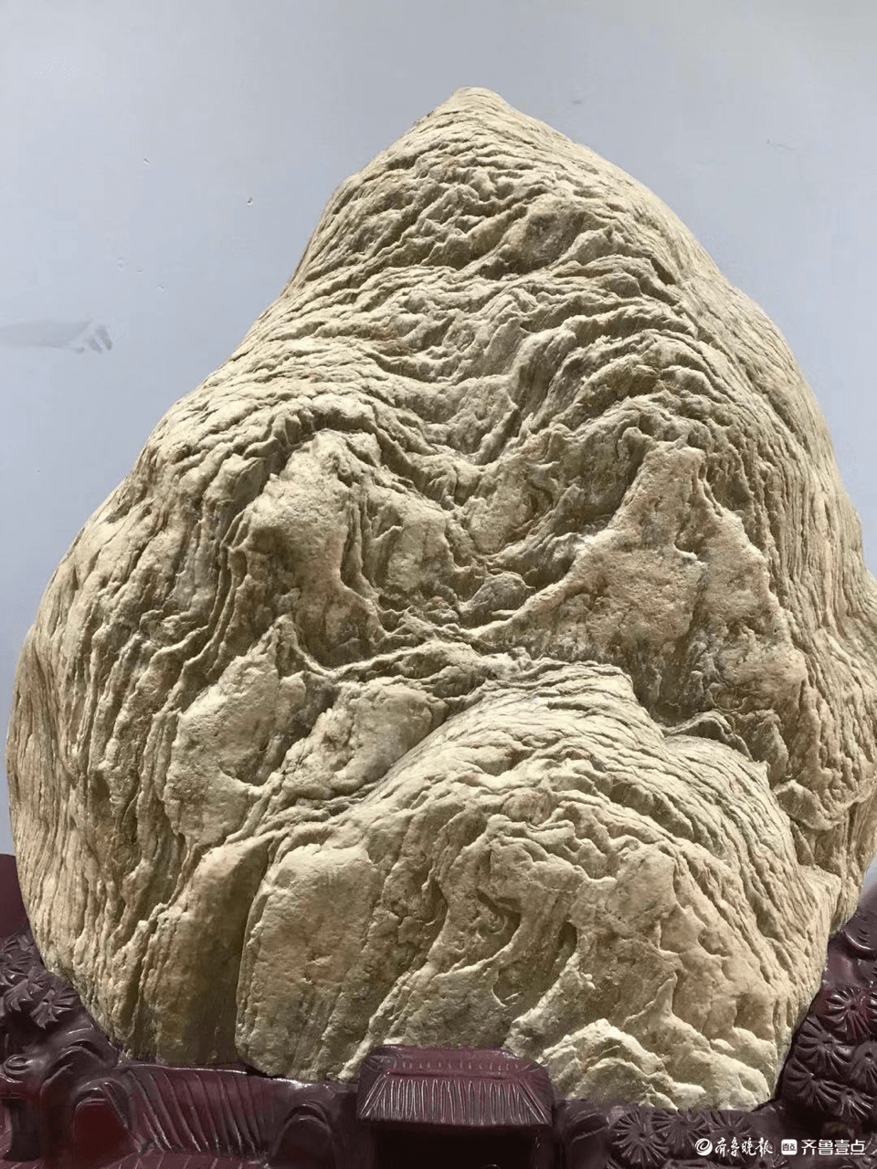 石头里的大千世界_奇石_陈文进_样貌