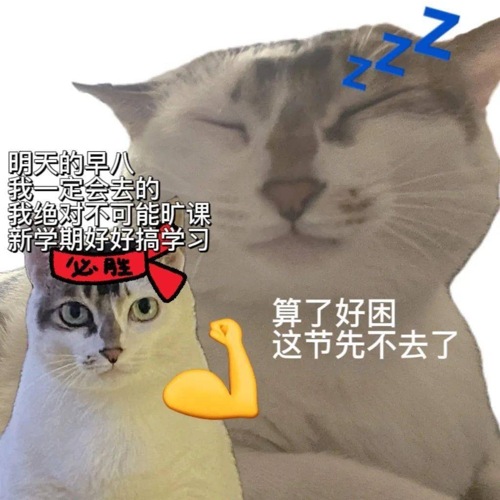 发疯文学表情包 | 发生什么事了?