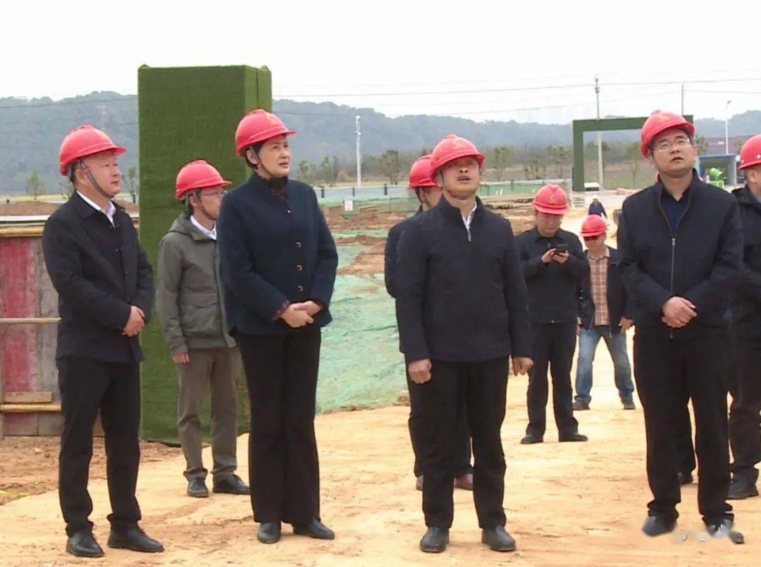 李伦华到五峰民族工业园督导重点项目建设_生产_工作_企业