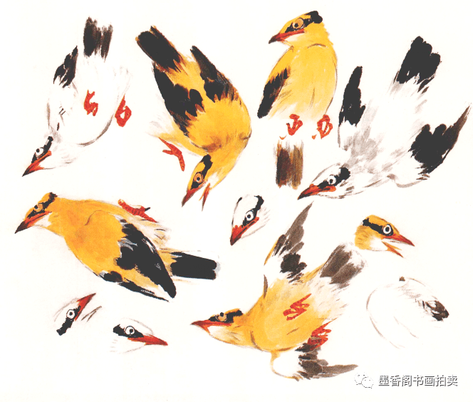 黄鹂鸟画法图片