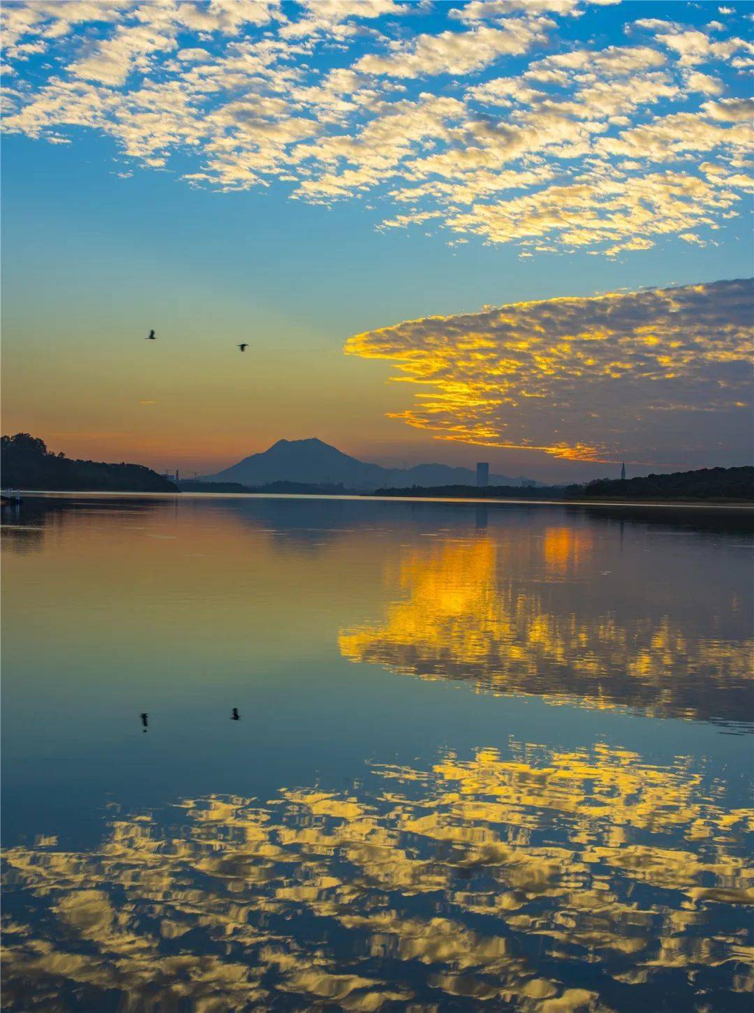 轻鸣,云蒸霞蔚其中"松湖烟雨"核心景点系列景观景点黄金竹海,桃源公园