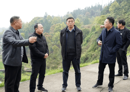 副市长刘运成督导检查芦溪县防汛工作_水库_防范_问题