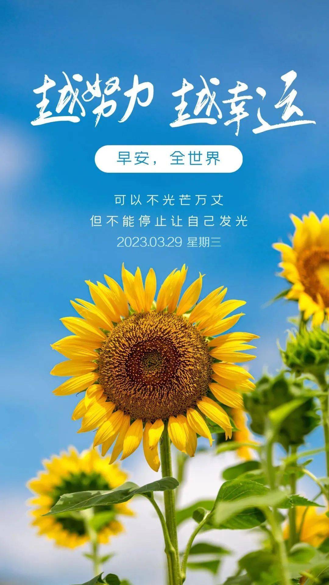 3月29日早安正能量坚强经典语句:人不仅活得要像钻石一样闪亮,还要像