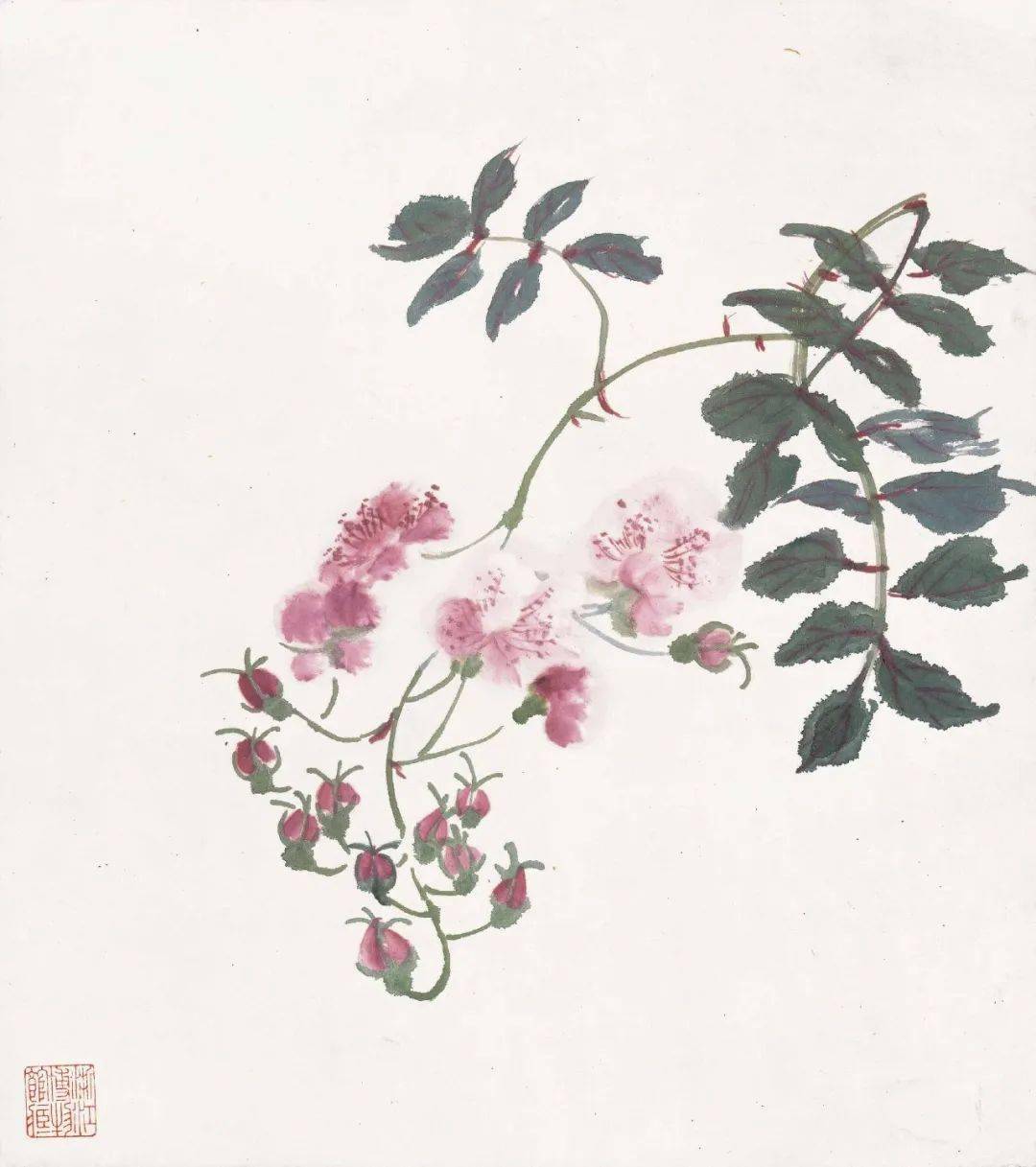 潘天寿：黄宾虹的花鸟，有水流花放之妙_cm_浙江省博物馆_花卉
