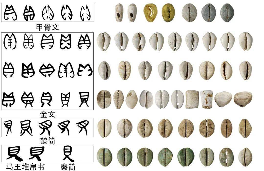 每日一字丨自然篇（贝）_手机搜狐网