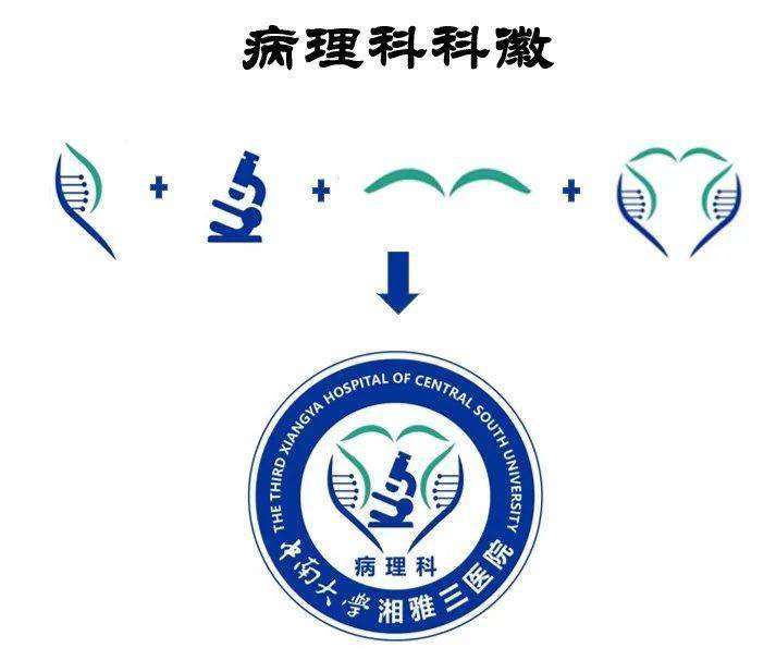 病理科 | 微观探秘,精准诊疗,护佑生命_科室_工作_病理学