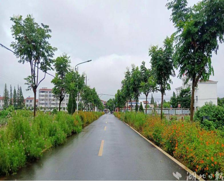 云梦县城关镇获评"湖北省生态乡镇"_工作领导小组_建设_保障