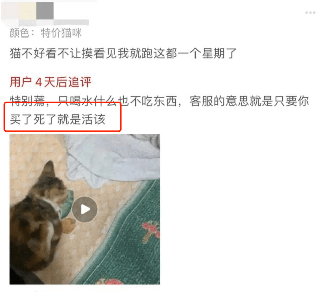 她惨死却热搜下架，你们满意了？