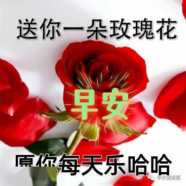 周末早上好动态表情图片大全,周末早安问候语句子!