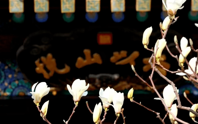 ���չ��ԣ�ʲô����˵TA ���һ����ۣ�