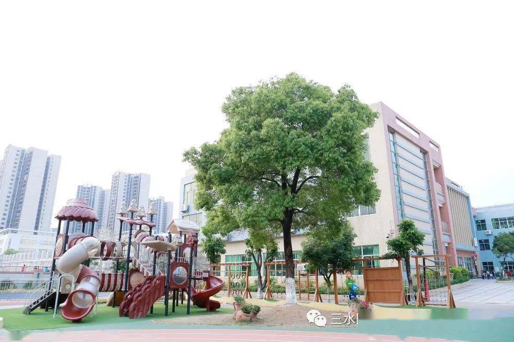 招生啦—乐平小星星实验幼儿园2023年秋季招生公告_佛山市_三水区