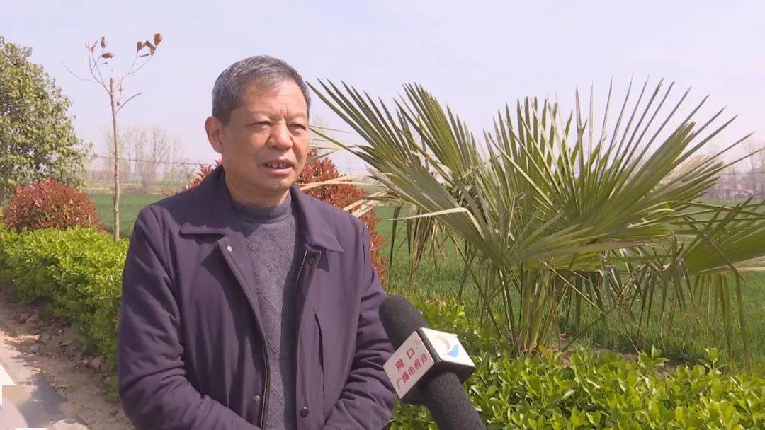 鹿邑县唐集乡:正确引领人人参与 持续推进人居环境整治工作_坑塘_治理