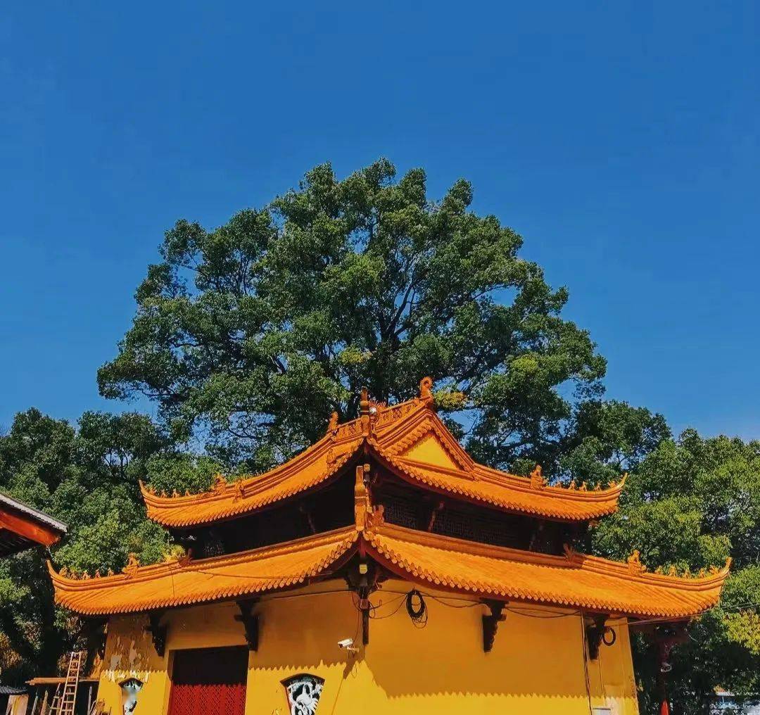 常山寺庙图片