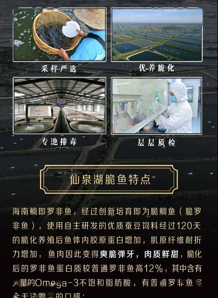 选仙泉湖脆鲷鱼打造鱼类爆品菜_上海_国际_餐饮