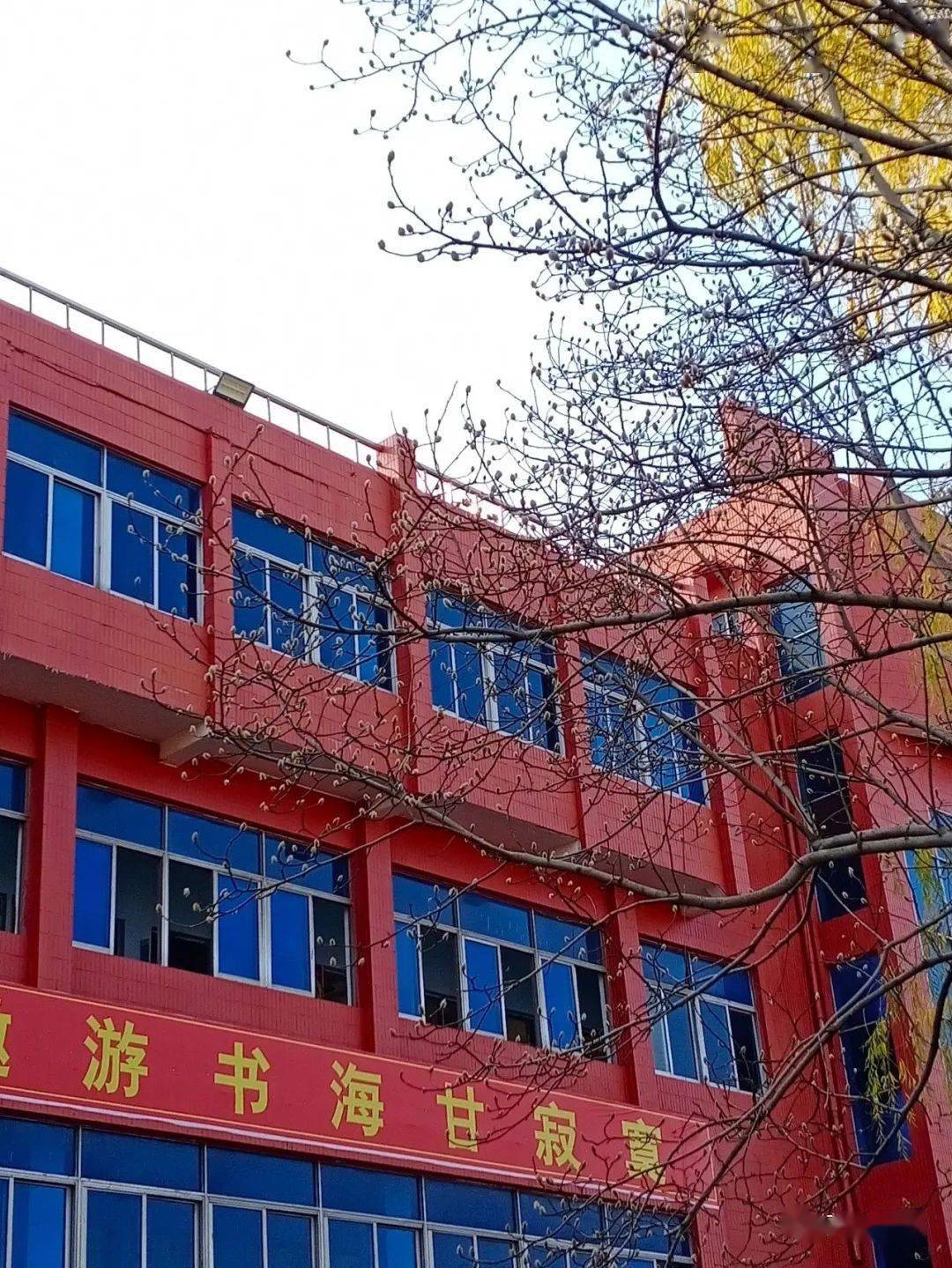等你,在萧县中学