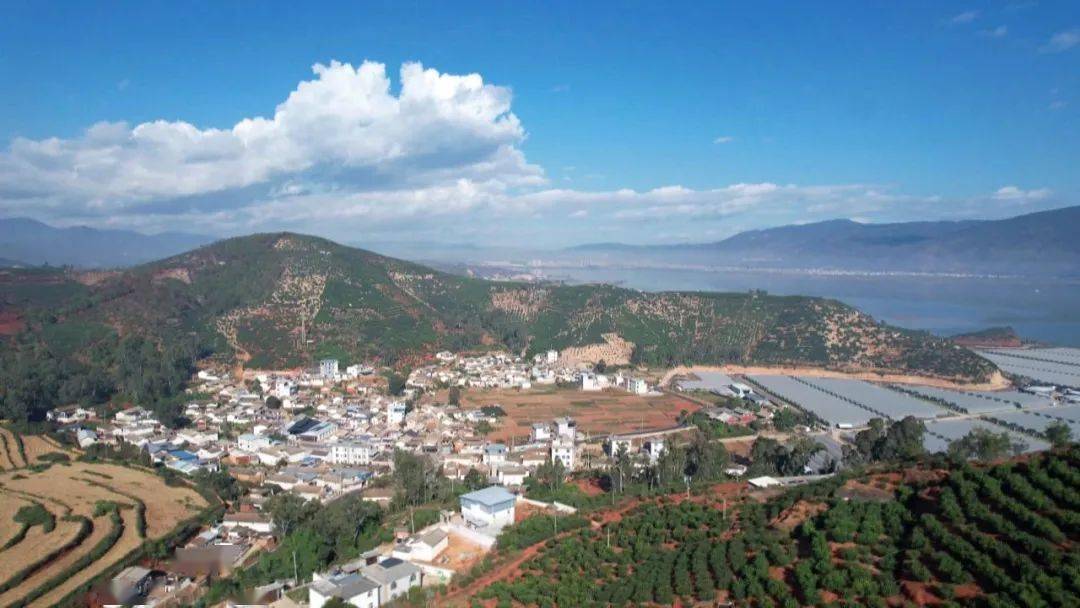 坝心镇白浪村:党员冲在前 确保项目落地见效_建设_工作_乡村