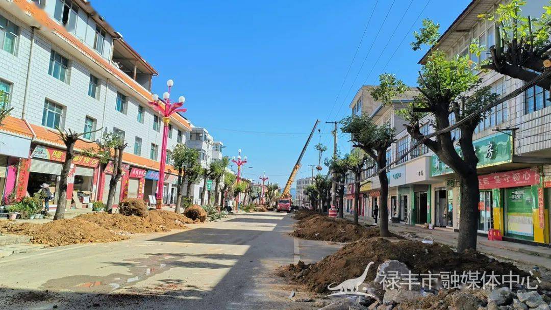 土官镇:建设乡村振兴"幸福街"_街道_改造_群众
