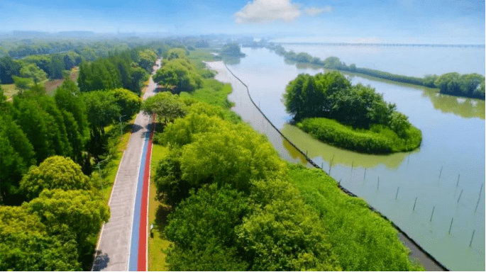 江苏省首个“虫豸多样性监测研究科普基地”在无锡大溪港省级湿地公园揭牌成立