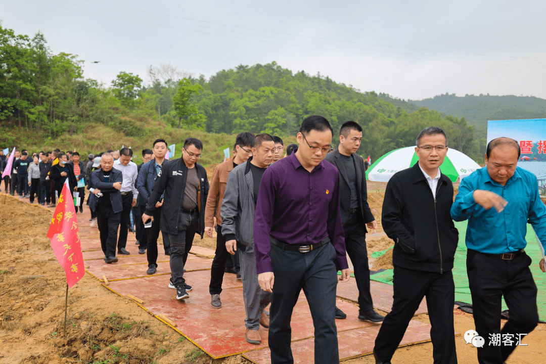 丰顺县现任县县长图片