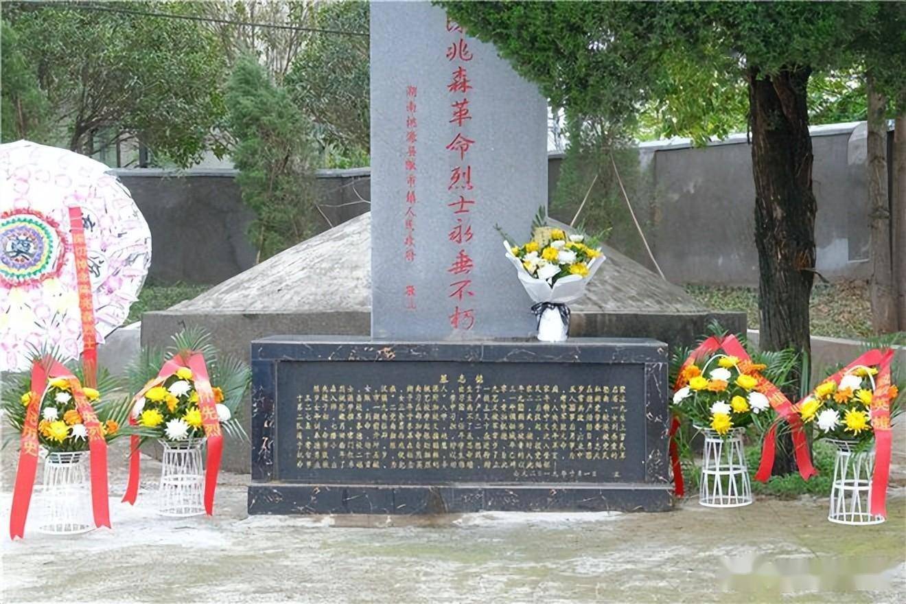 桃源县陬市镇第二完小开展陈兆森烈士陵园祭扫活动_少先队员_酒铺