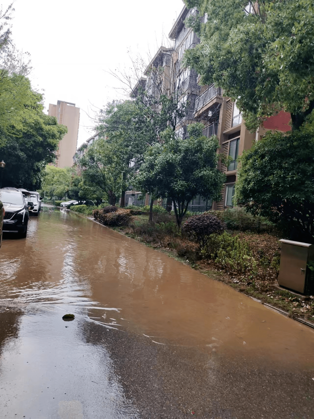 鄂州一小区暴雨后路面积水严重,居民寸步难行._改造_问题_原因