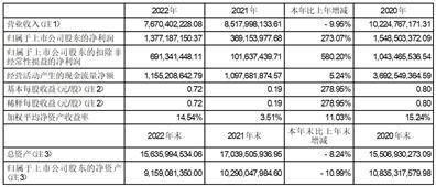 完美世界股份有限公司2022年度陈述摘要