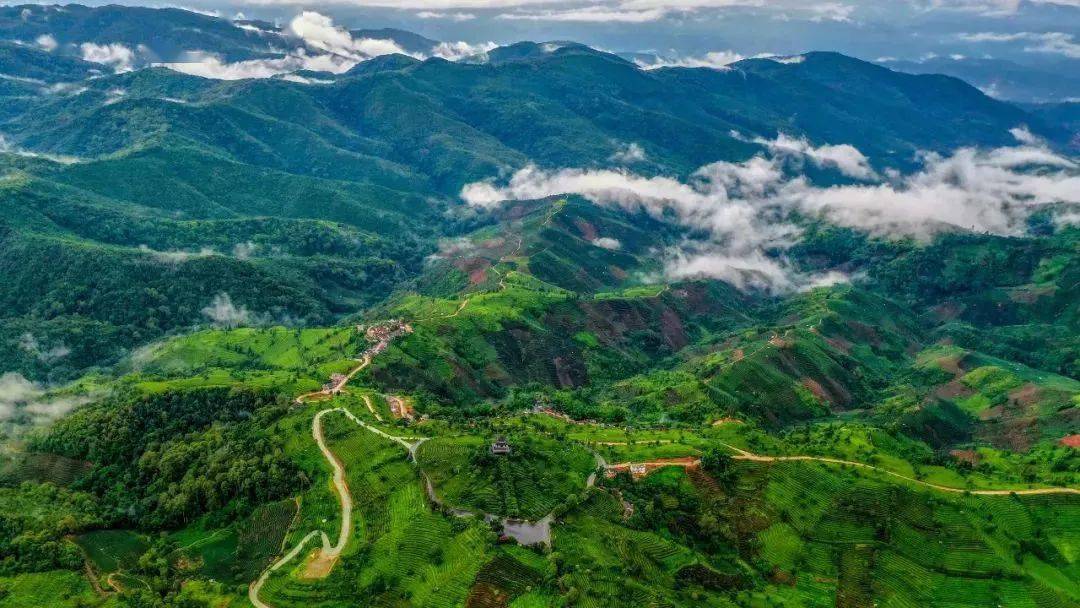 pu er普洱天赐普洱,世界茶源09.