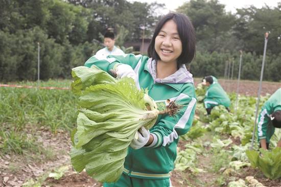 新期间广东情况教育如许做