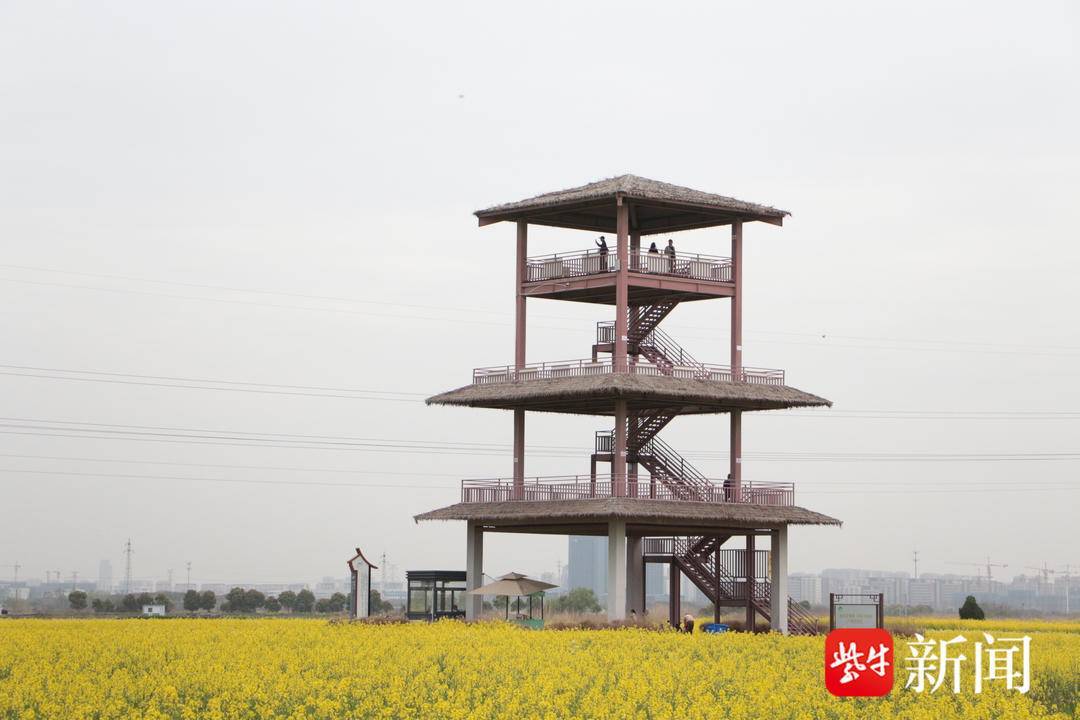 书写"新江村" 打卡"最江南"④|苏州市吴江区同里镇北联村:农业搭台