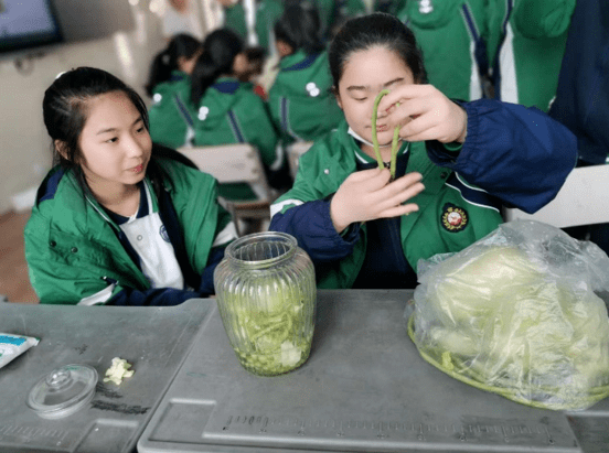 【眉州校园】仁寿县长平初级中学校:以改革谋新生,以创新求发展_教育
