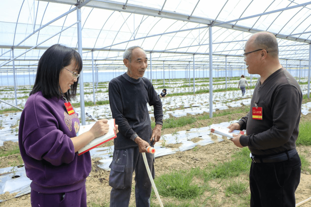 【乡村振兴】万年县珠田乡:人大代表在一线 备战春耕当"头雁"_种植