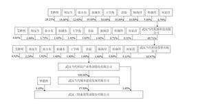 武汉三特索道集团股份有限公司2022年度陈述摘要