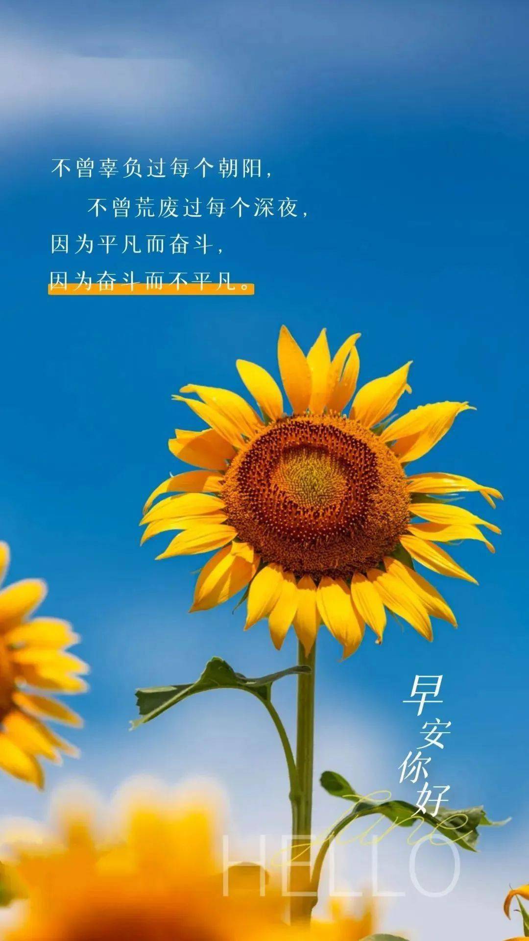 积极阳光正能量的句子图片