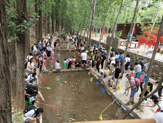 开云 开云体育APP创始人分享：农家乐转型升级年接10万人营收千万的经验总结！(图10)