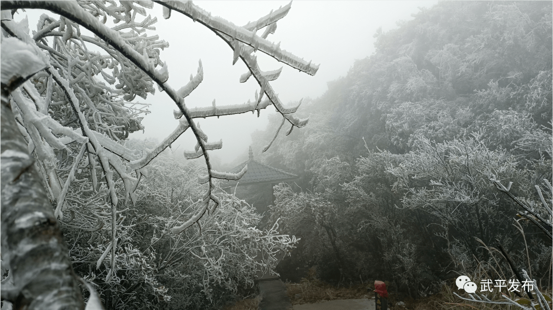 【德潤中堡】章豐村觀獅山寺_文化_武平_門樓