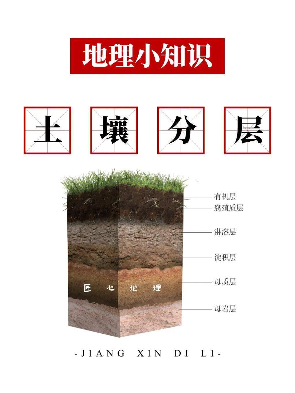 每日一图 你没见过的土壤垂直分布图