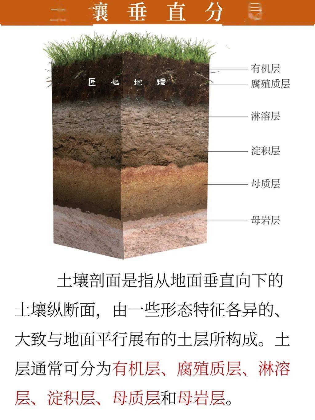 高一地理土壤剖面图图片