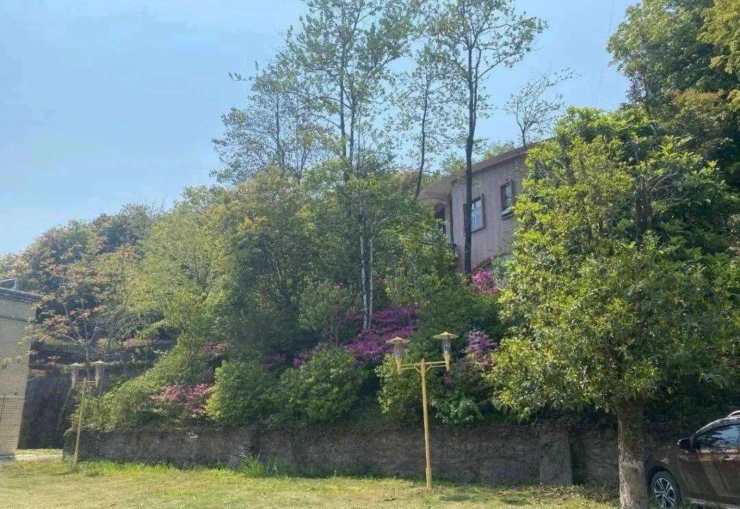 云锦山庄位于广东天井山国家森林公园的服务中心区,游玩之后可在这里