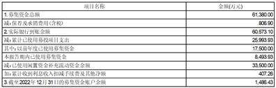 东华软件股份公司2022年度陈述摘要