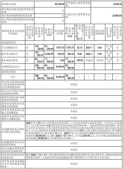 东华软件股份公司2022年度陈述摘要