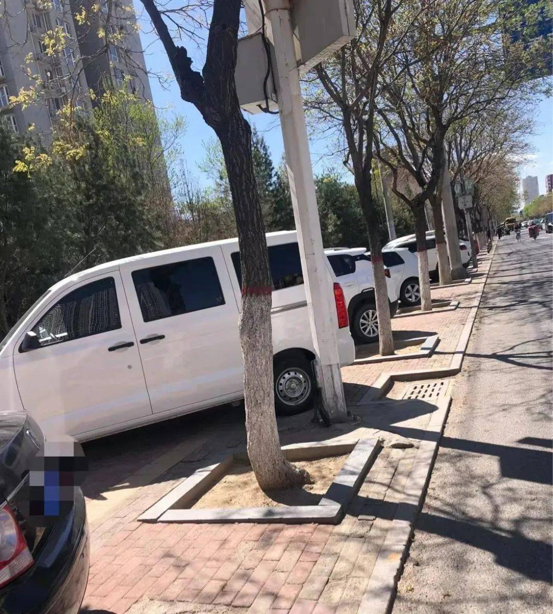 一律要在设定的停车场和划定的机动车停车泊位内按导向箭头指示有序