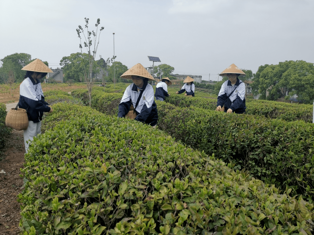 全程干货（家乡变化的个人感悟）家乡变化的个人感悟50字 第4张