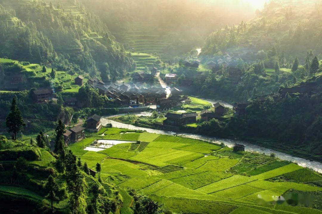 【关注】雷山县方祥乡水寨村:百亩稻渔文化体验园开门迎客 各种转发送