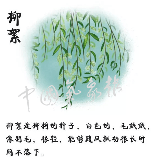 沙尘还没走，“毛毛雨”就来袭……